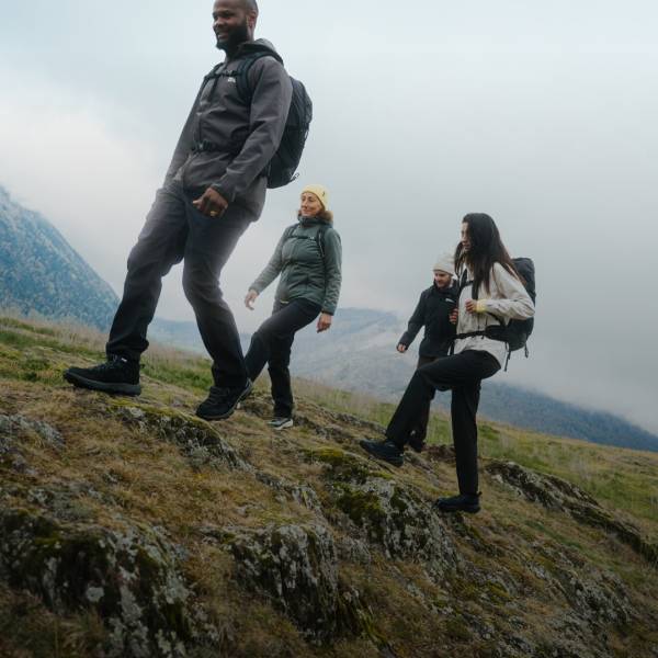 Group of four on a hill